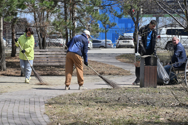 100 тысяч человек и даже больше: жители края активно поддержали субботник губернатора